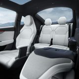 Model Y L