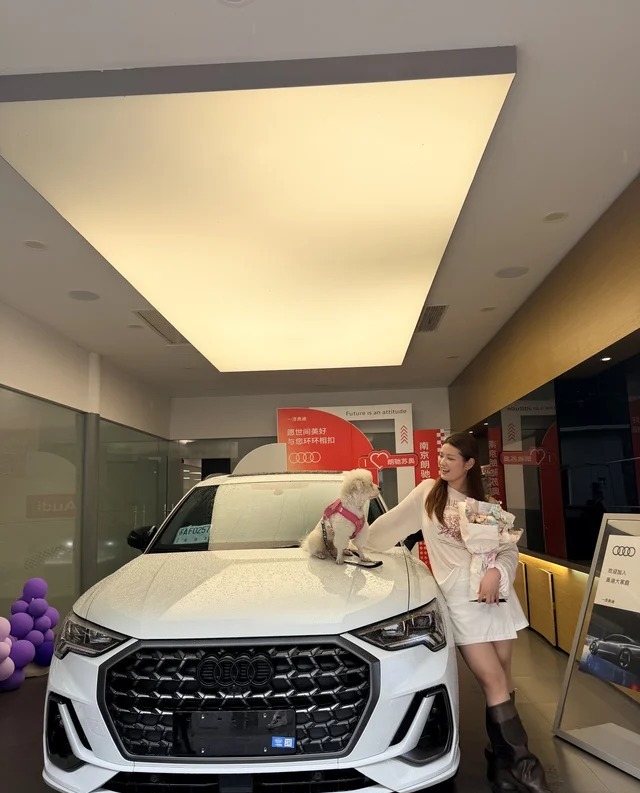 奥迪Q3quattro 45周年典藏版 35 TFSI 进取动感型展示图3