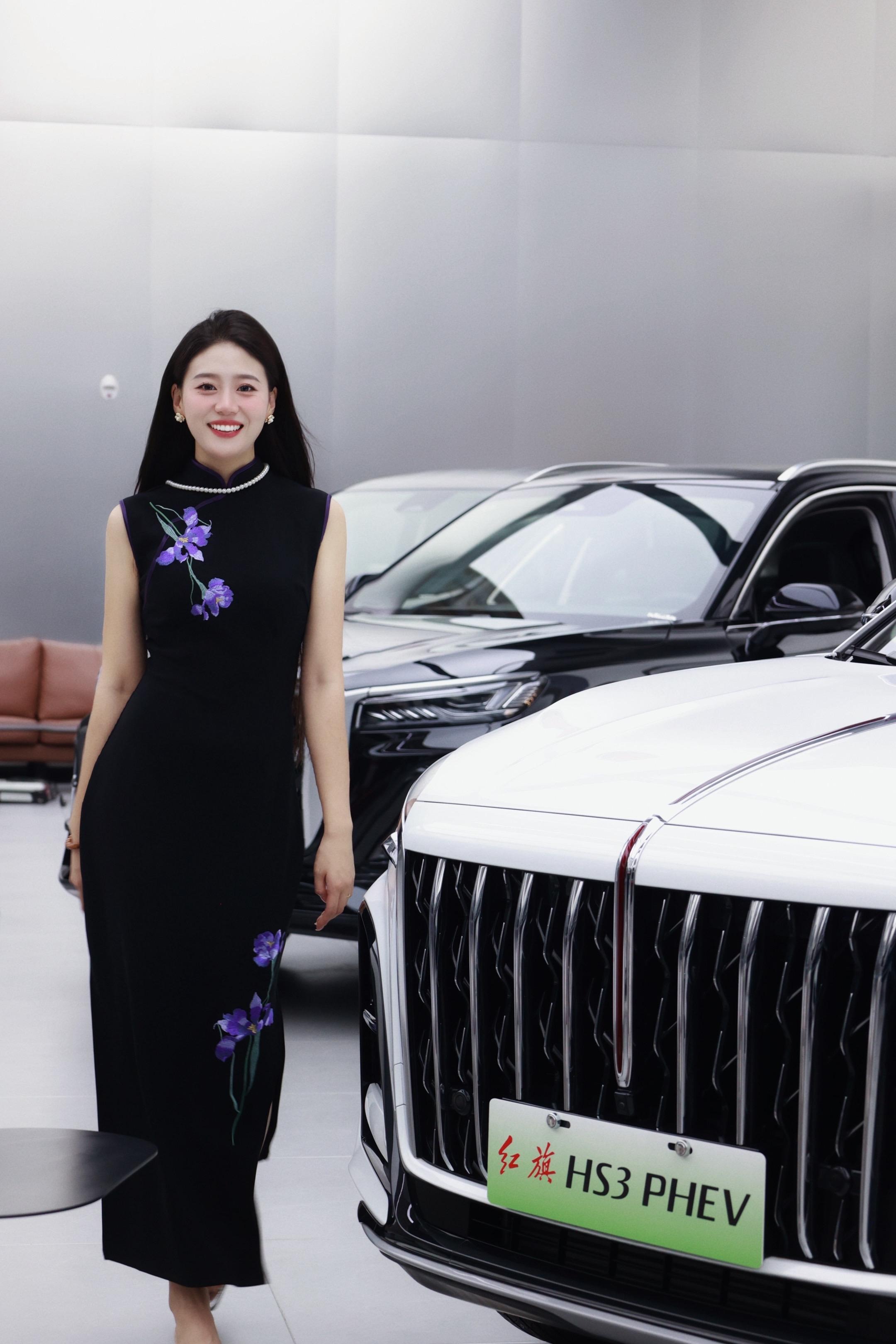 红旗HS3 PHEV125km 劲为PLUS版展示图3