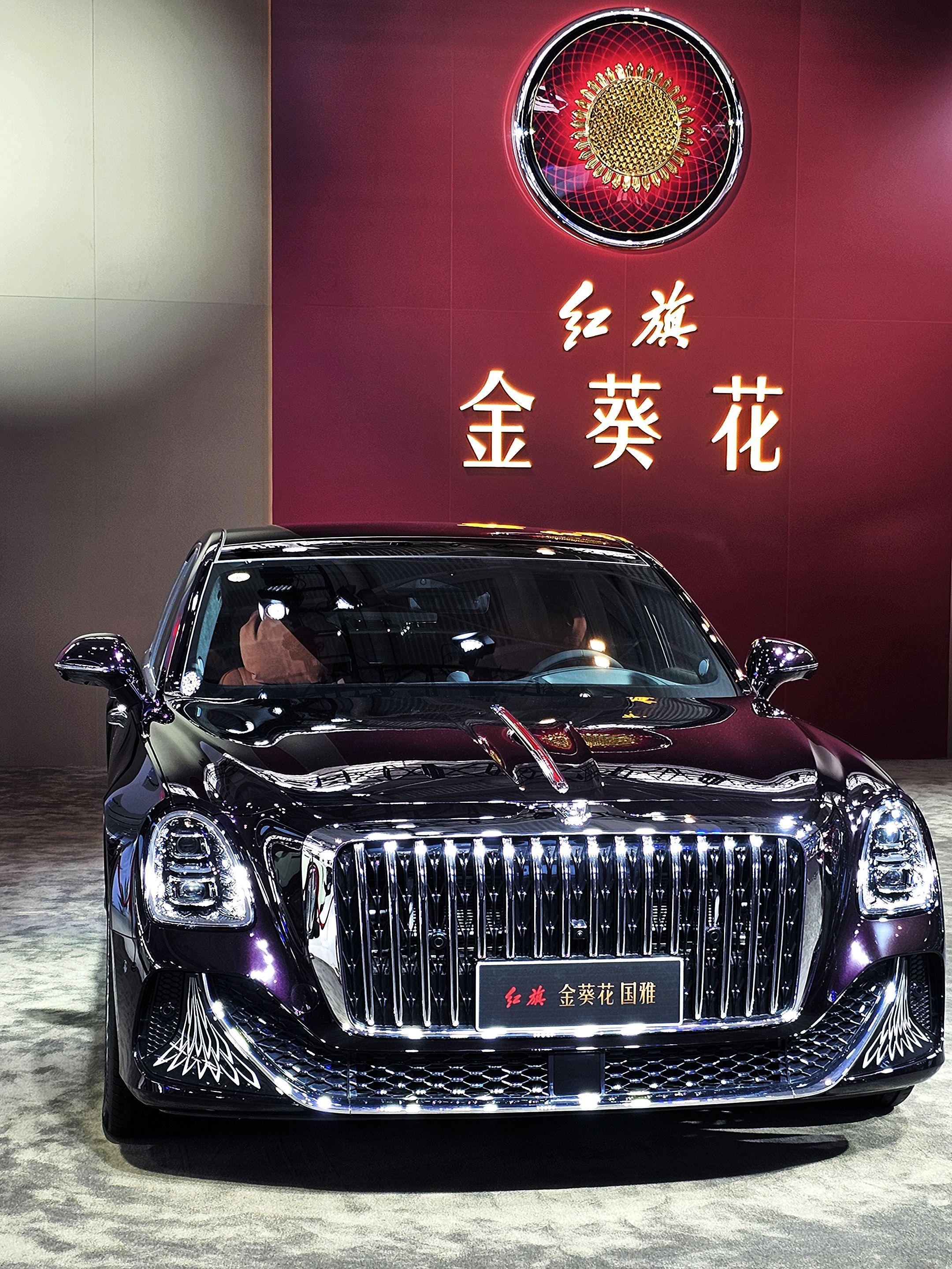 红旗金葵花国雅3.0T V6版展示图2