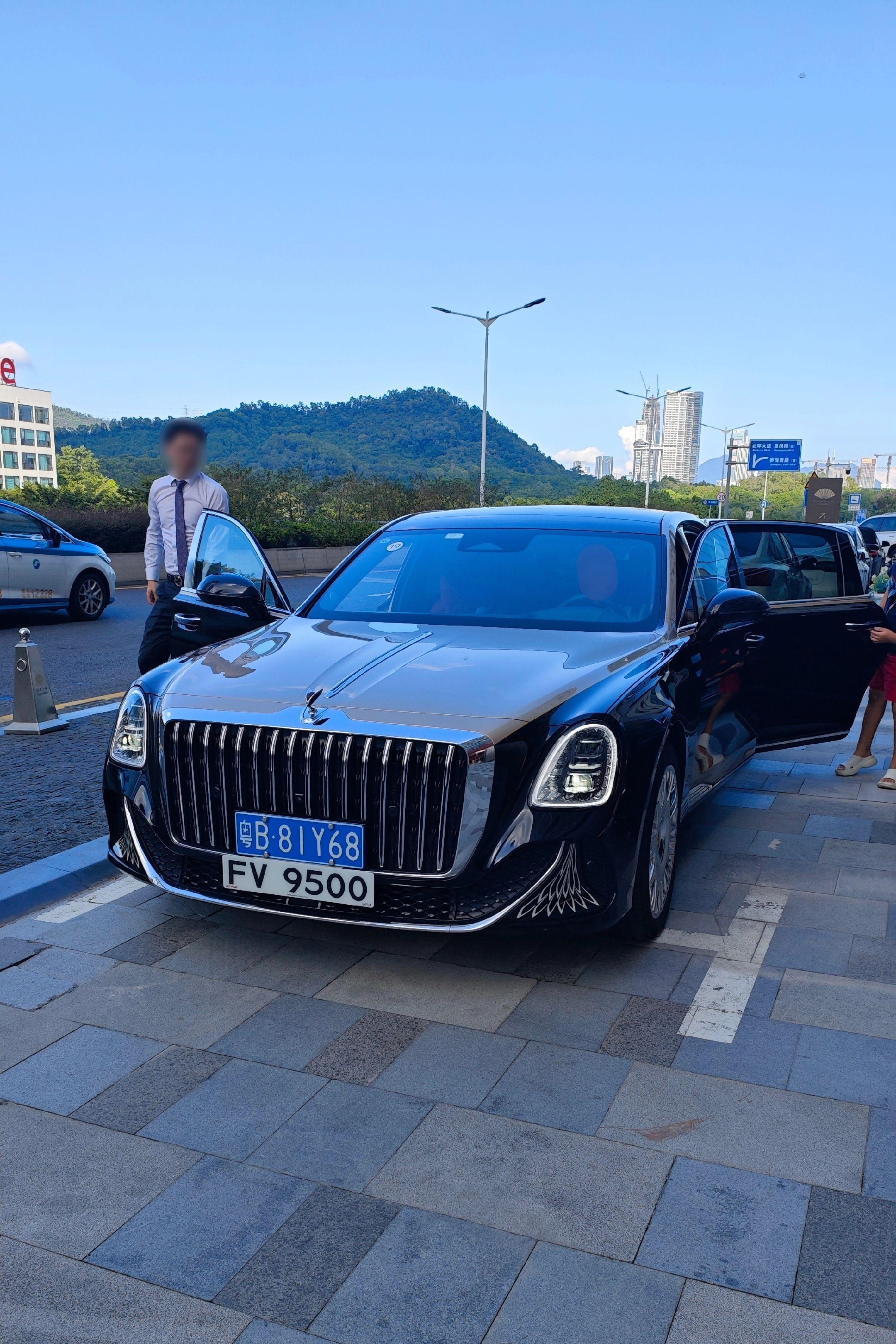 红旗金葵花国雅3.0T V6版展示图1