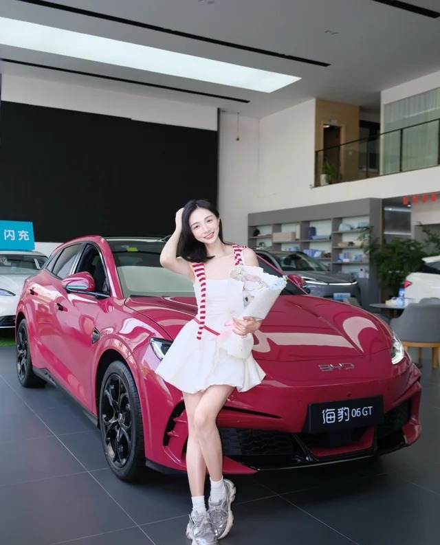 海豹06GT520海浪Plus版展示图3