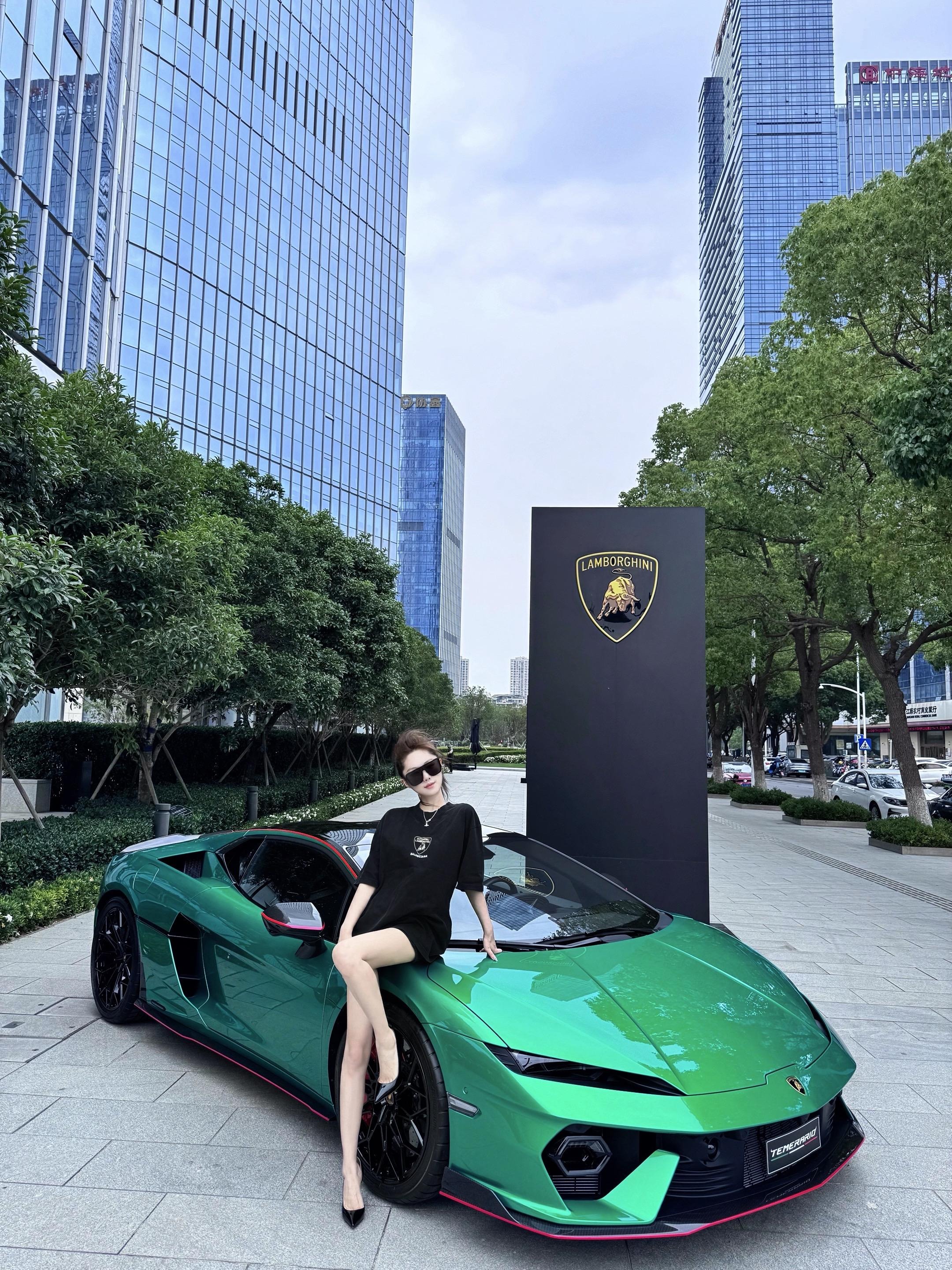 Temerario标准版展示图2