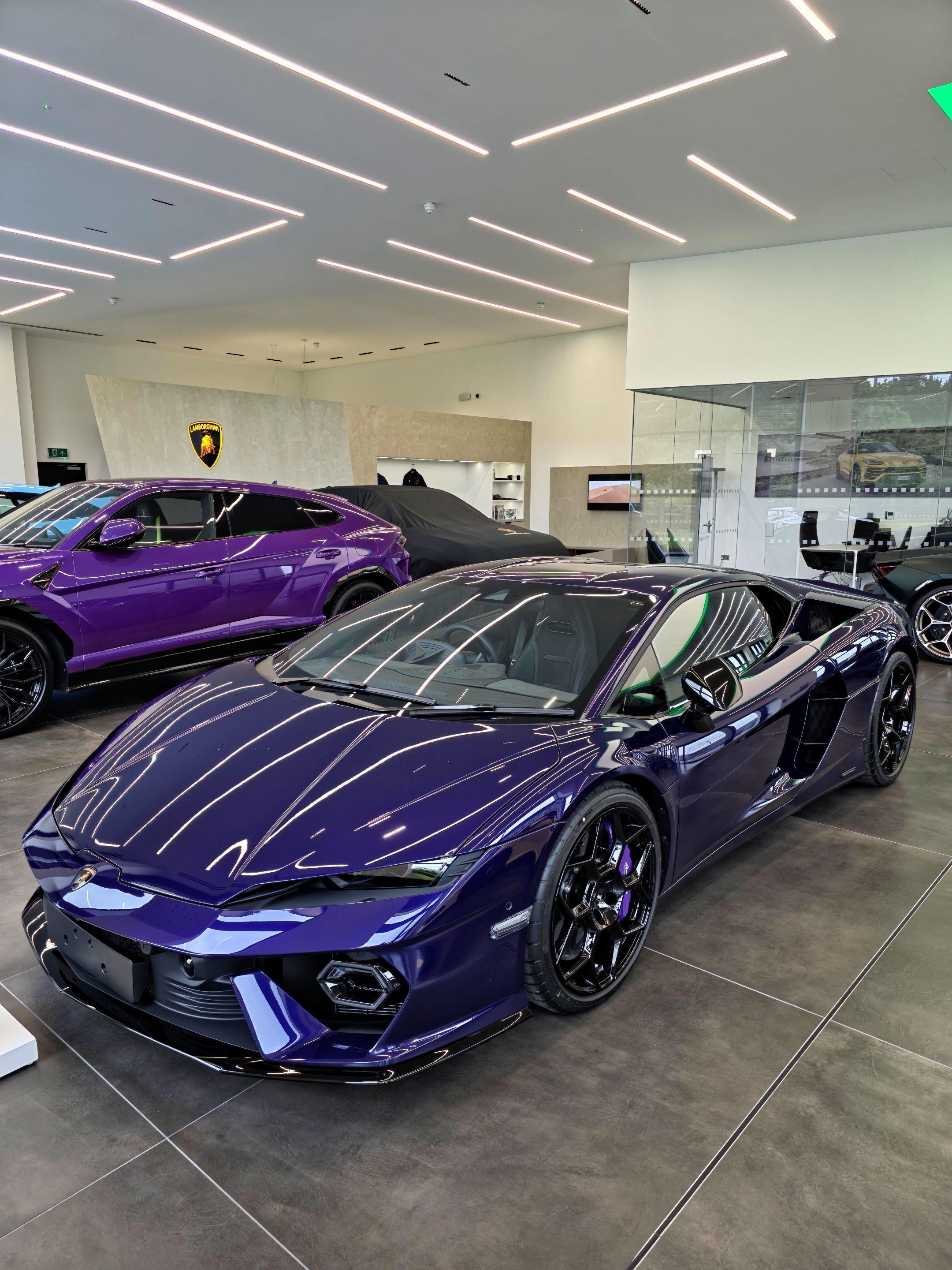 Temerario标准版展示图3