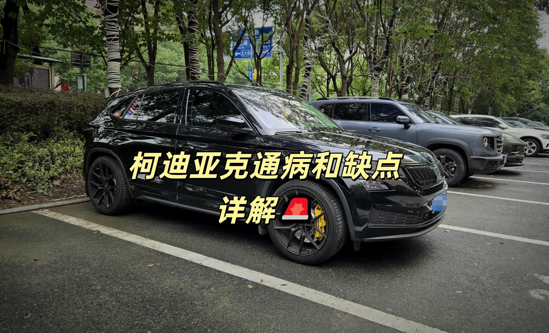 柯迪亚克TSI330 7座两驱奢享版展示图1