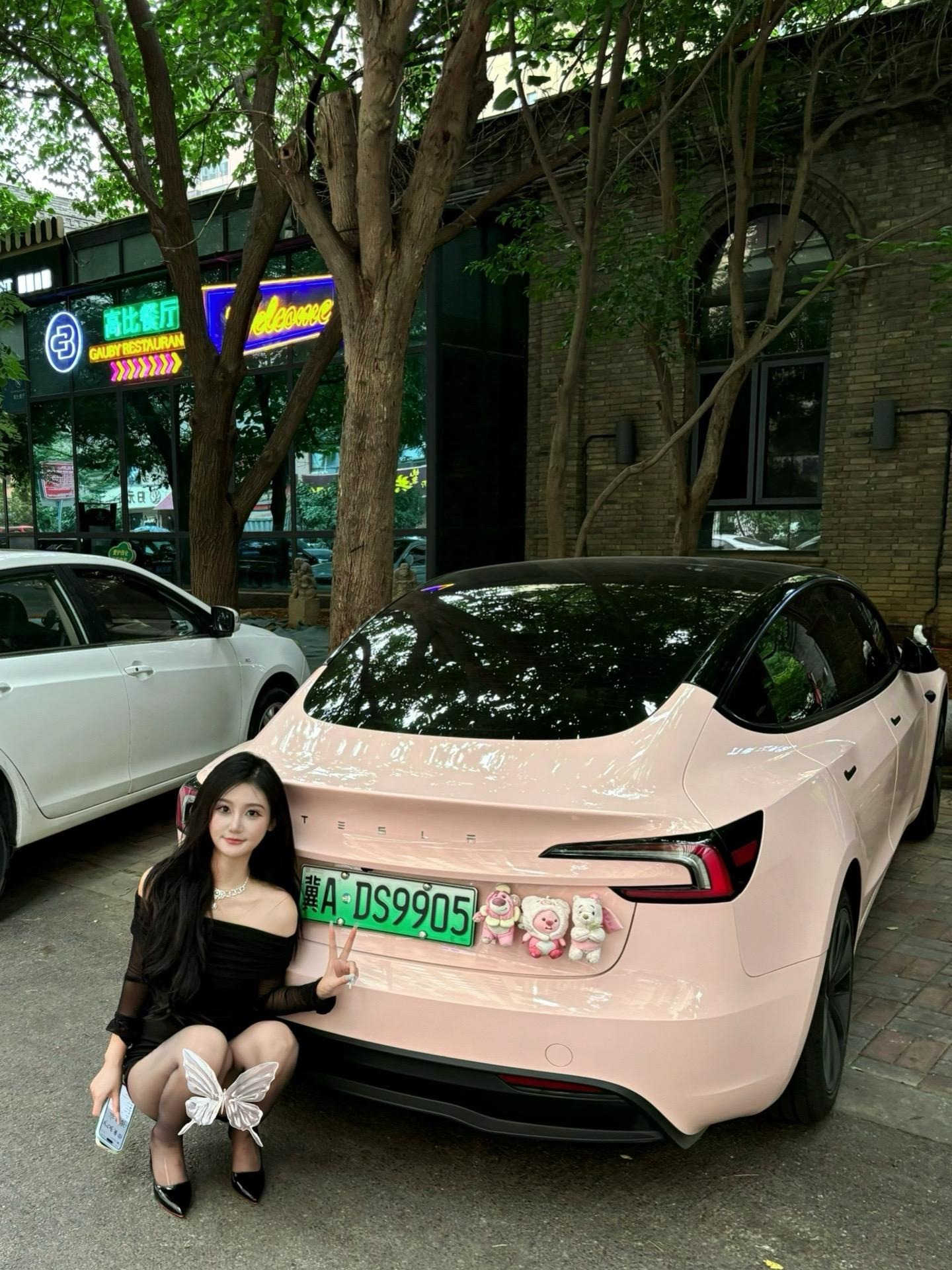 Model S双电机全轮驱动版展示图1