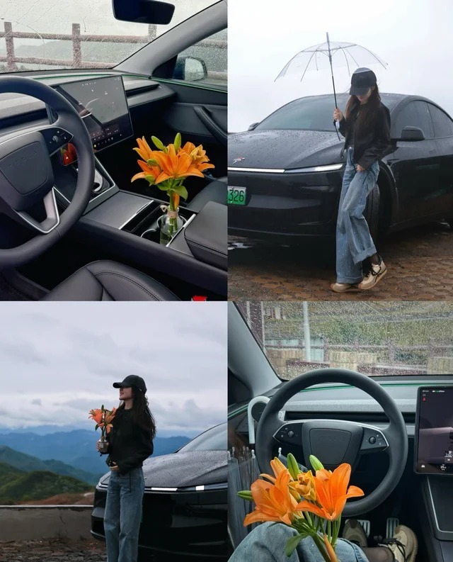 Model S双电机全轮驱动版展示图3