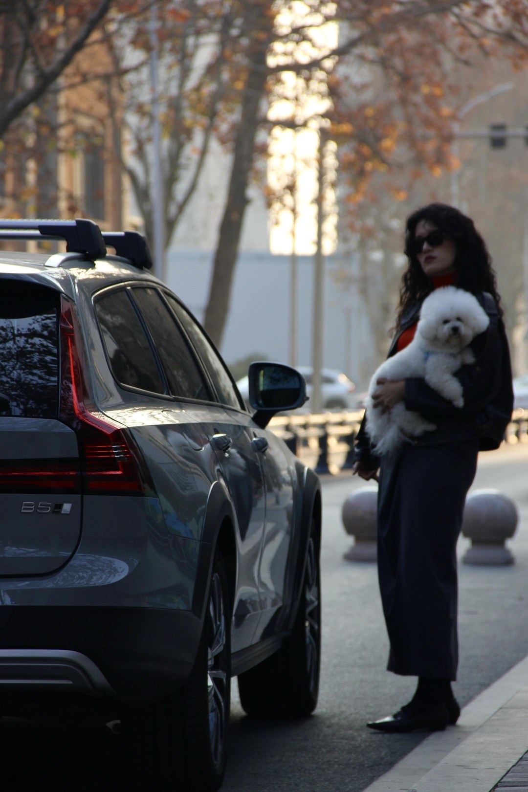 沃尔沃V90Cross Country B5 AWD 智尊版展示图1