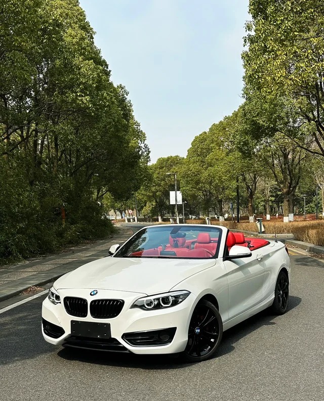 宝马2系(进口)225i 双门轿跑车 M运动曜夜套装展示图2