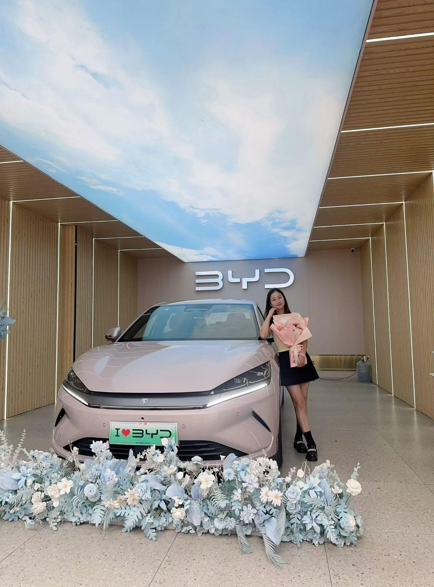 秦EV出行版450展示图1