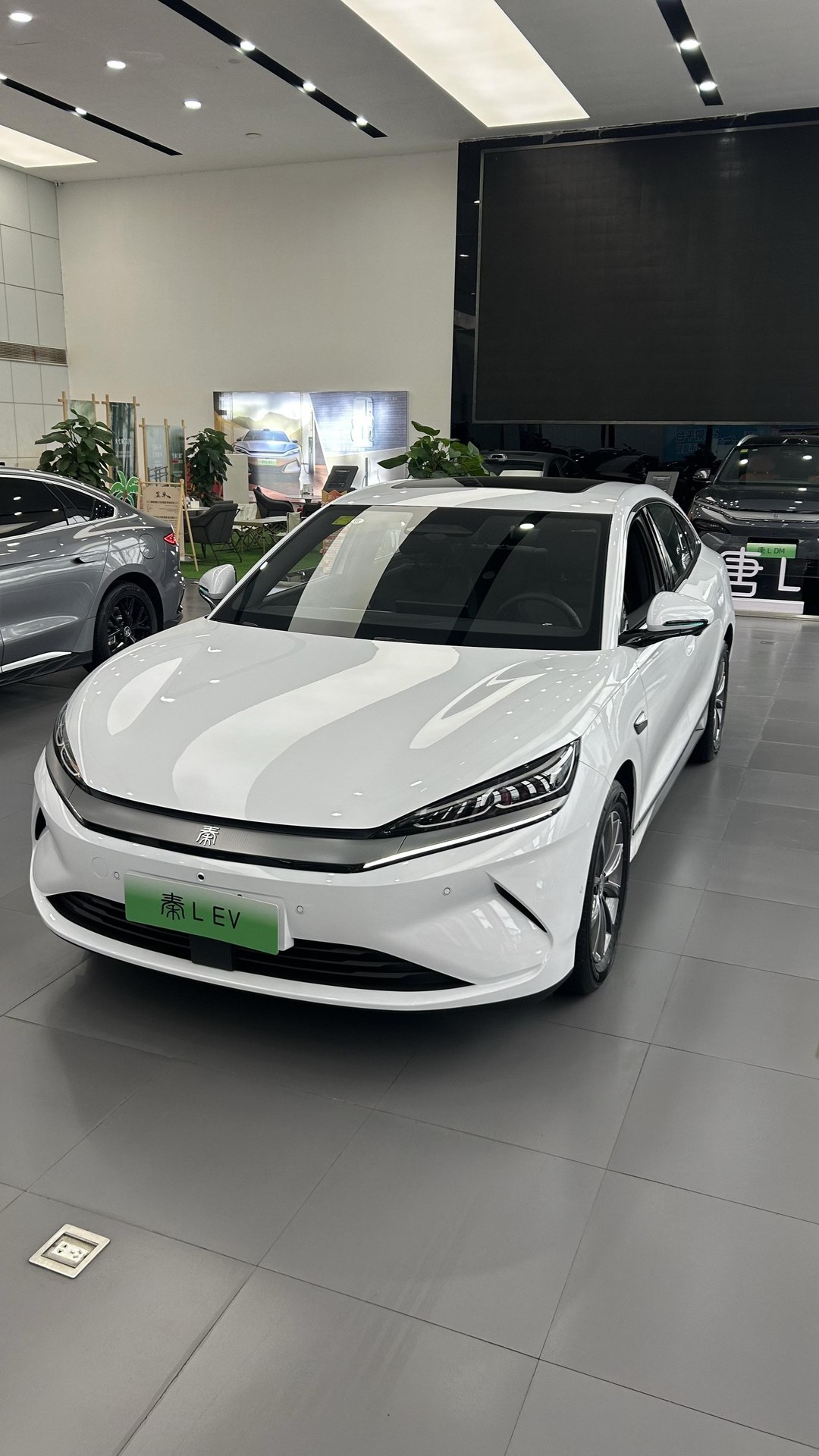 秦EV出行版450展示图3