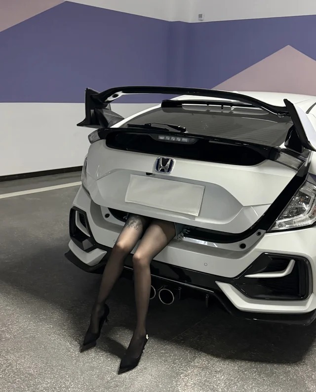思域(进口)Type R Ultimate Edition展示图2