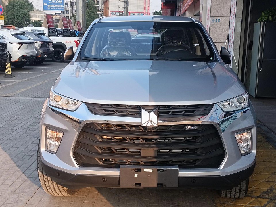 TAGA达咖2.8T柴油两驱标准轴距展示图2
