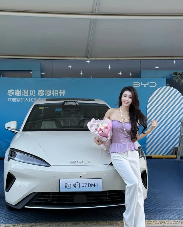 海豹07DMDM-i  135KM豪华型展示图1