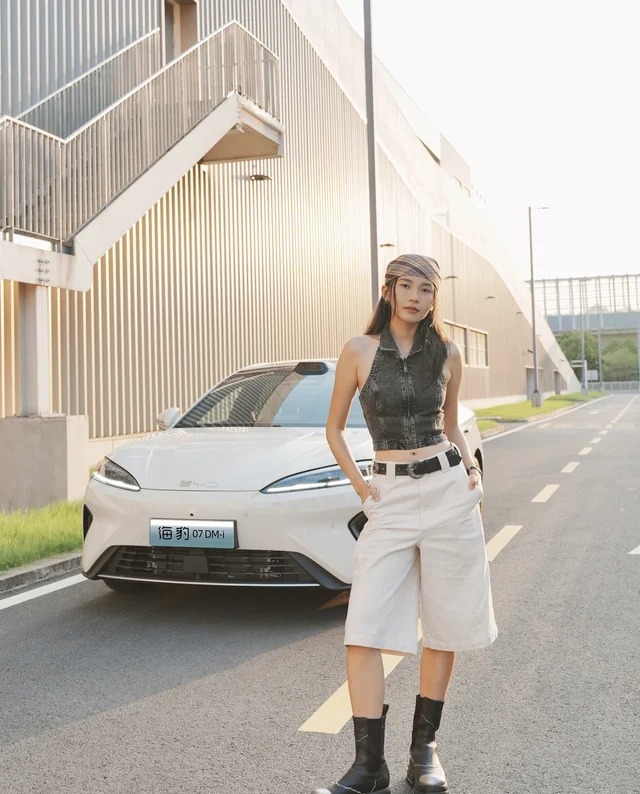 海豹07DMDM-i  135KM豪华型展示图2