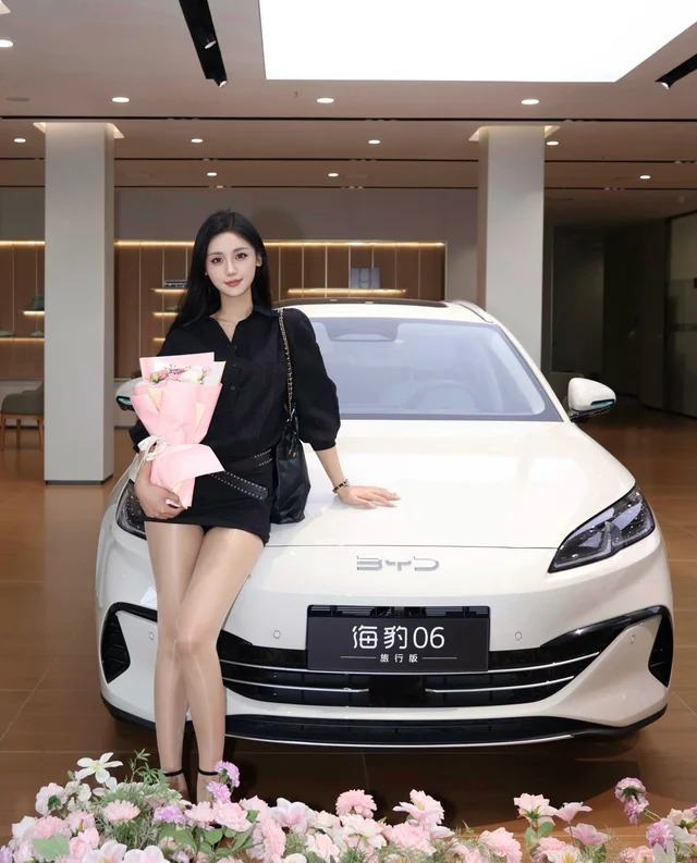 海豹07DMDM-i 135KM尊贵型展示图1