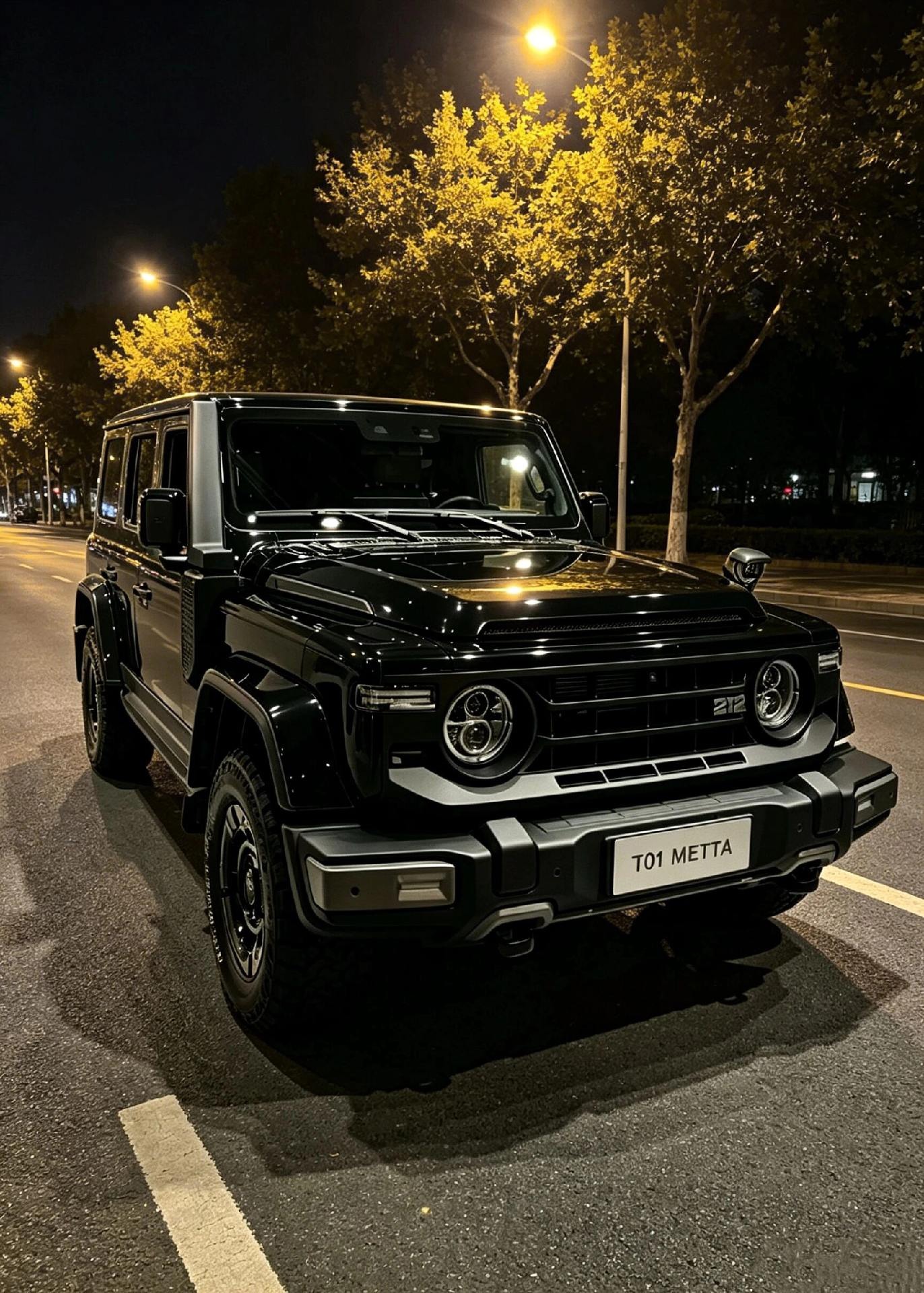212 T012.0T 柴油 长风版展示图1
