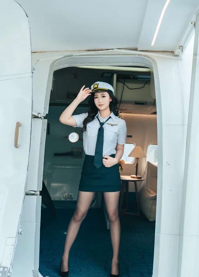 PilotElite展示图2