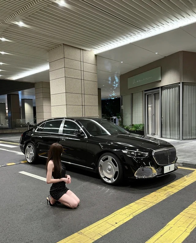 奔驰S 450 e L展示图3