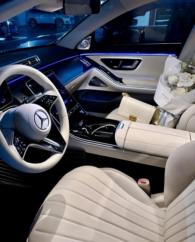 奔驰S 450 e L展示图3