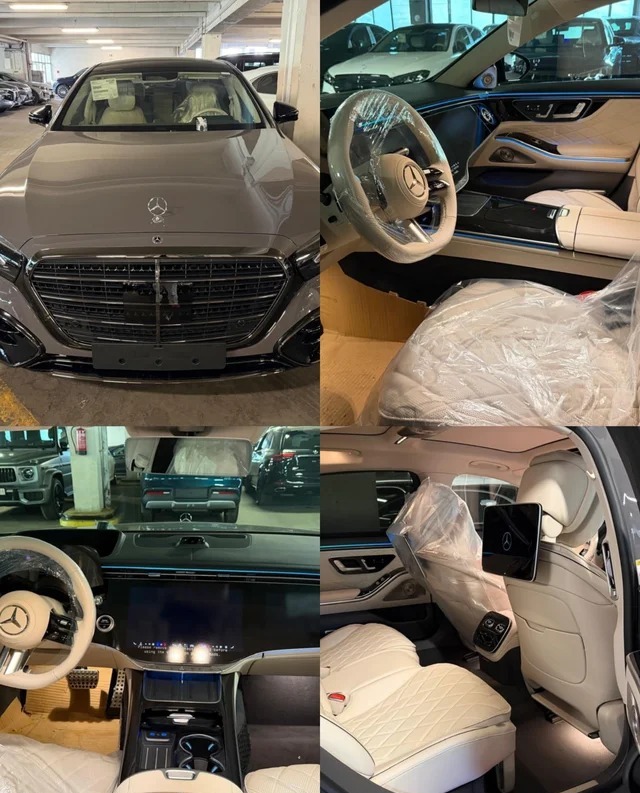 奔驰S 450 e L展示图1