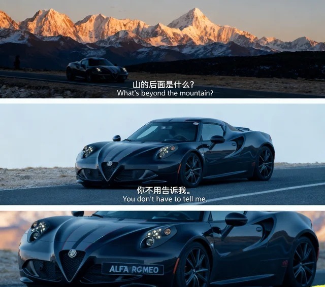 ALFA 4CCollezione GT Nicola Larini展示图1