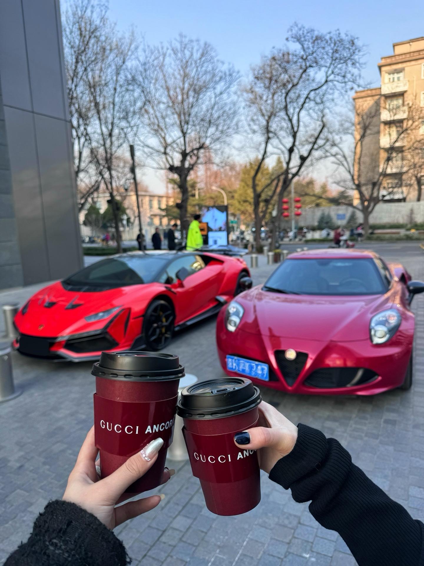 ALFA 4CCollezione GT Nicola Larini展示图1