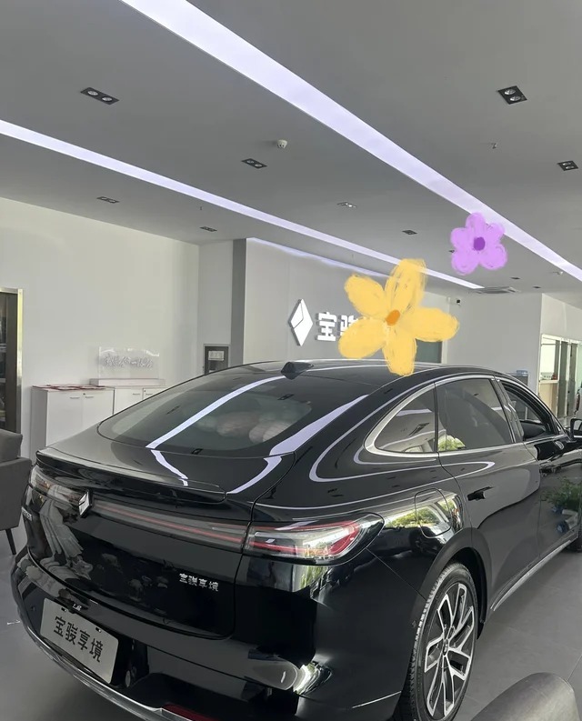 宝骏享境PHEV140km 豪华版展示图2