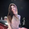 AION RT710智尊版展示图2