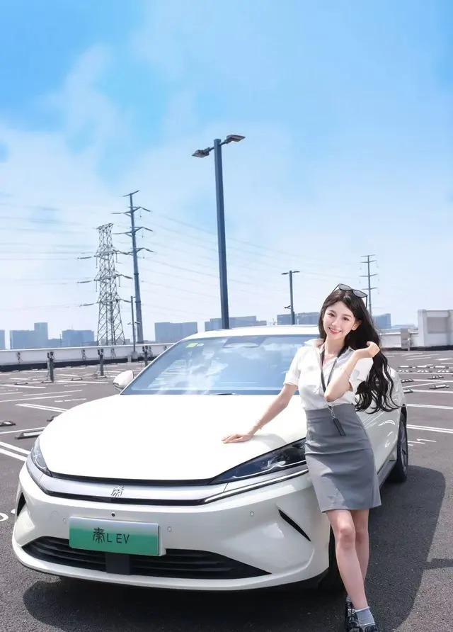 秦L EV470KM 领先型展示图1