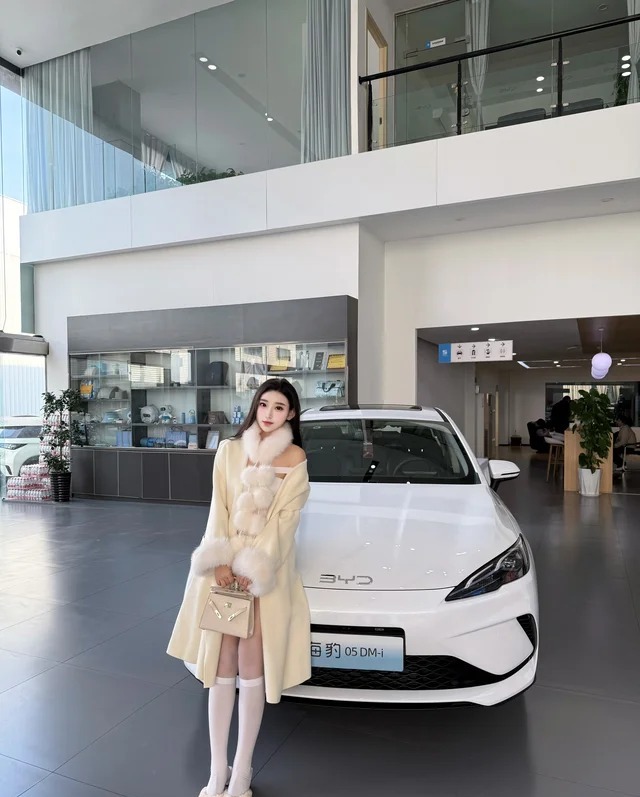 海豹05DMDM-i 210KM尊贵型展示图2