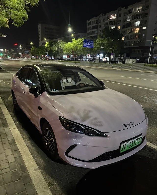 海豹05DMDM-i 210KM旗舰型展示图2