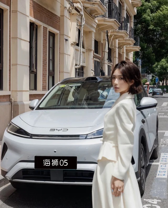 海狮05EV540领航版展示图3