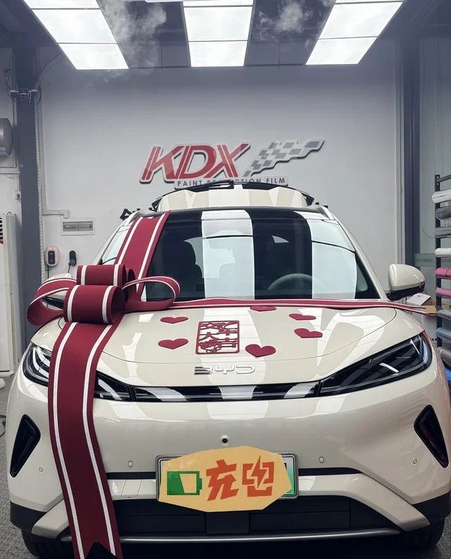 海狮05EV540领航版展示图2