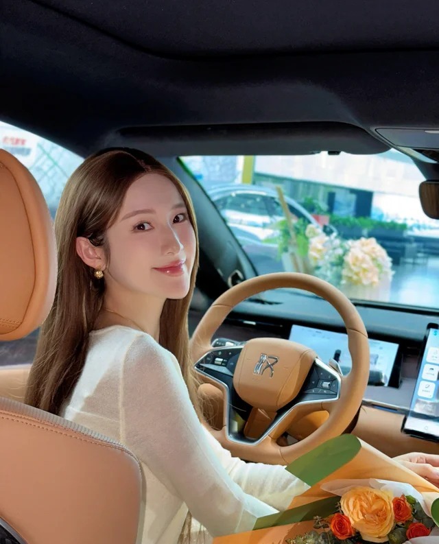 汉L DMDM-p 180KM 四驱激光雷达旗舰型展示图3