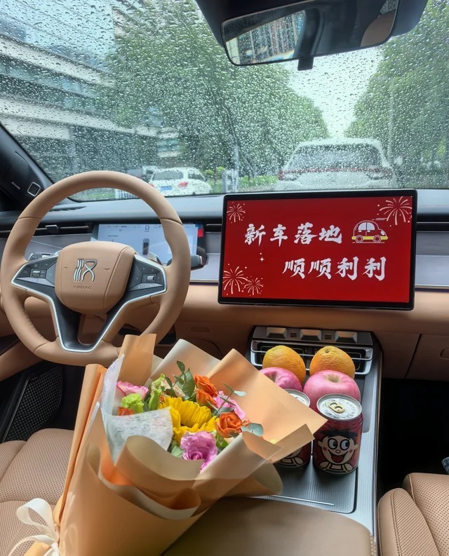 汉L EV701KM 后驱激光雷达旗舰型展示图3