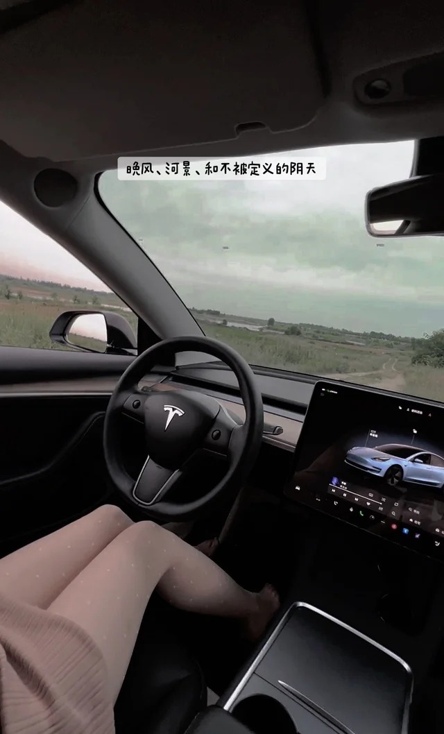 Vision Driving ExperienceConcept展示图2