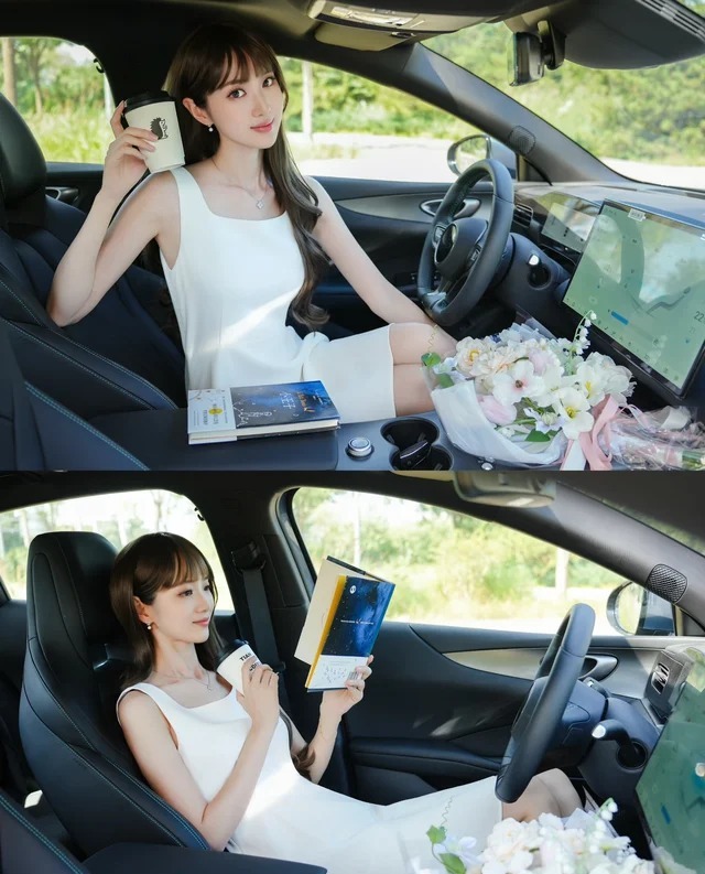 海豹06EV530智享型展示图3