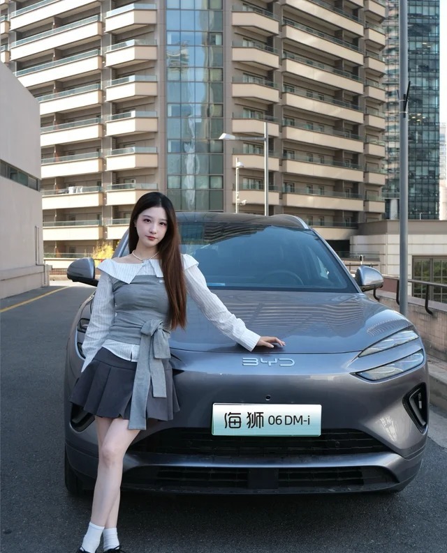 海狮06DMDM-i 310旗舰版展示图3