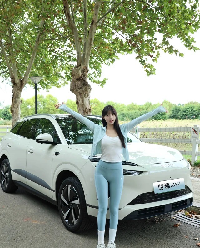 海狮06EV605领航版展示图3