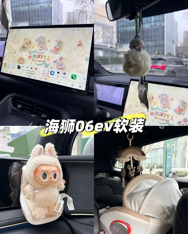 海狮06EV710远航版展示图3