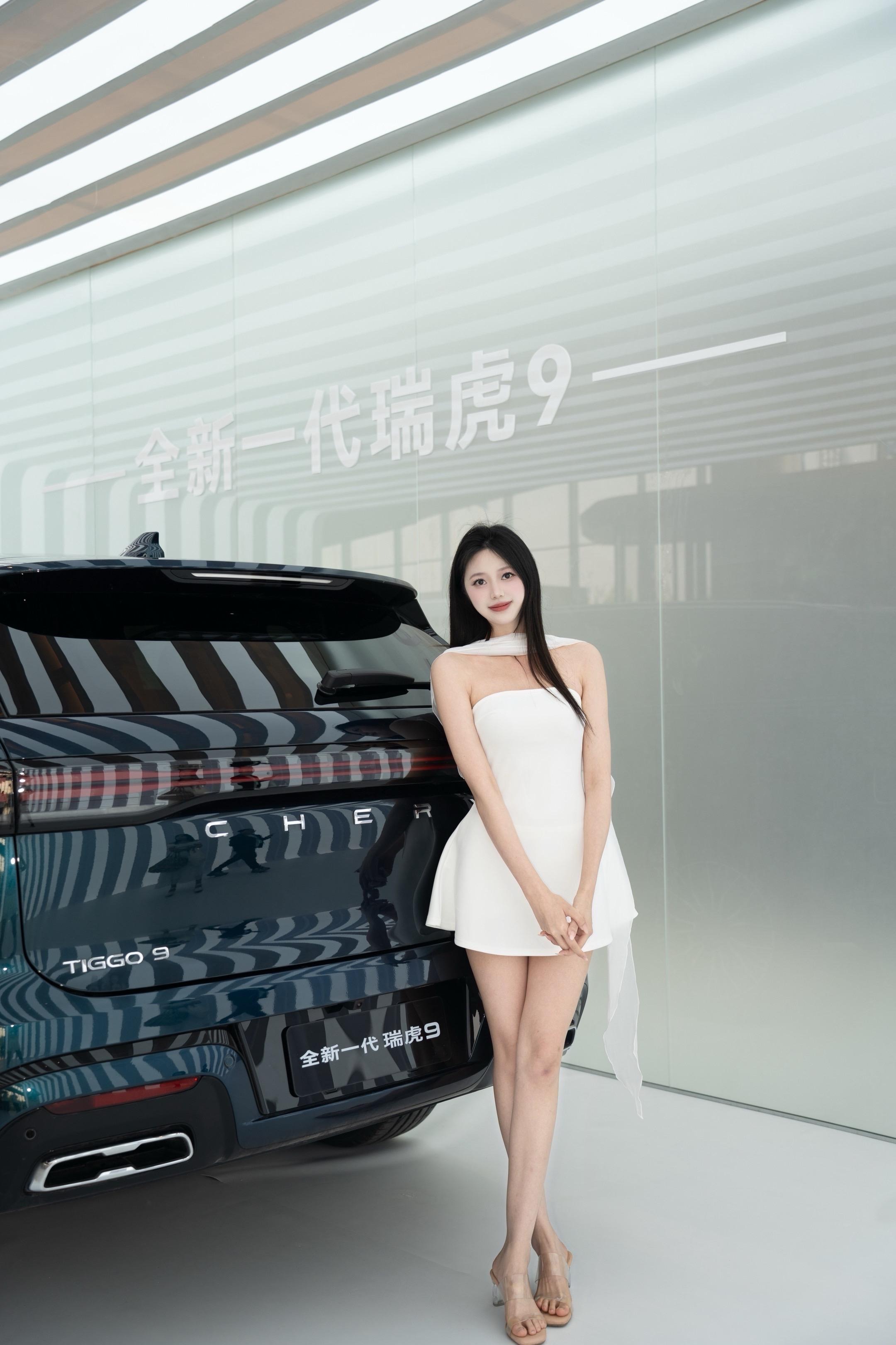 瑞虎9L基本型展示图2