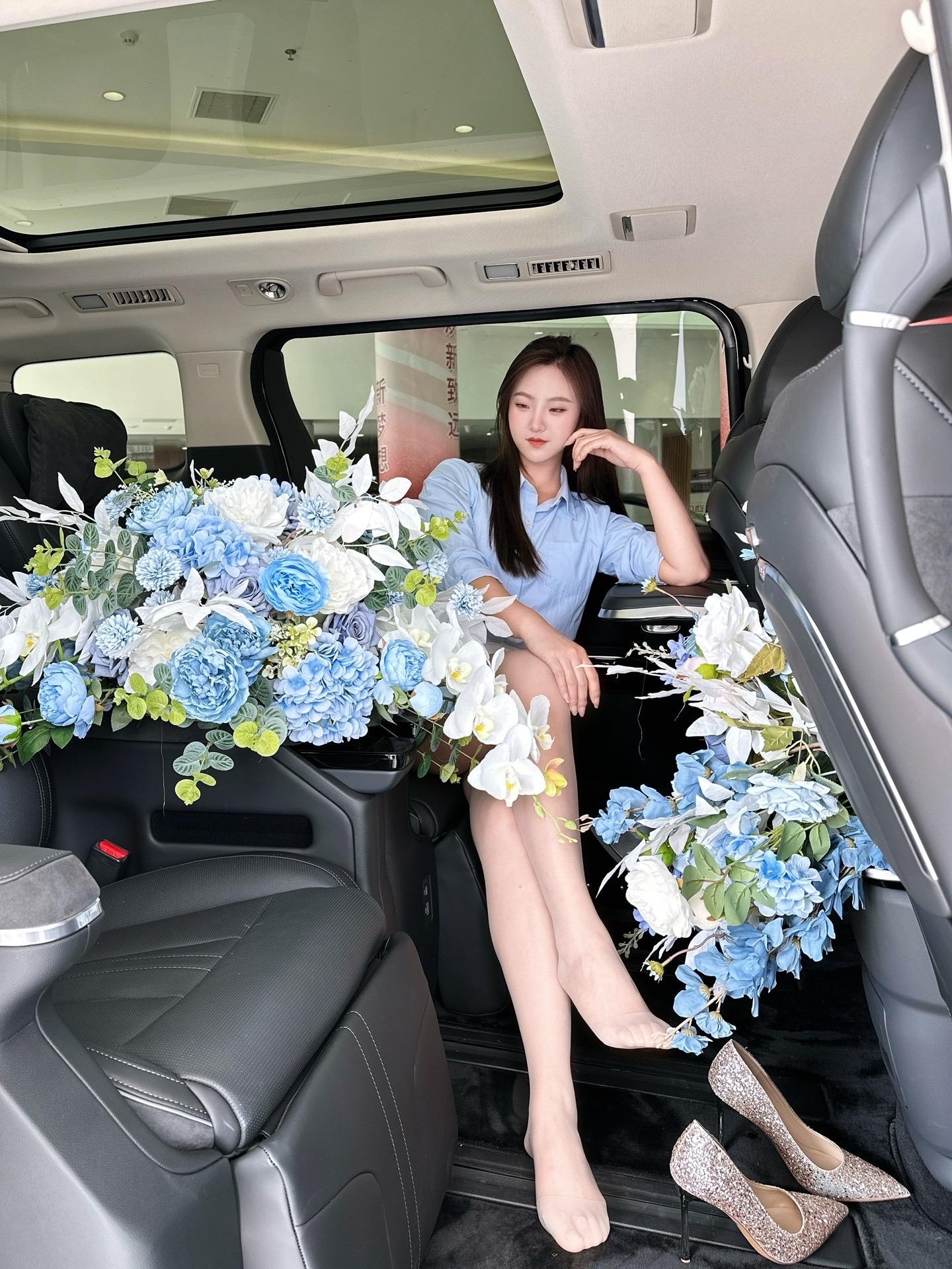 红旗H9 PHEV基本型展示图2