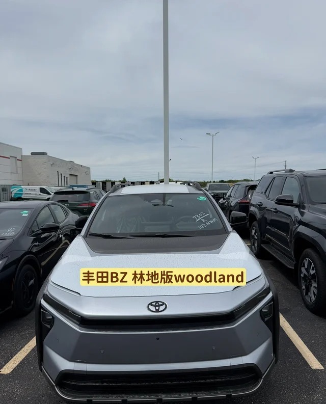 bZ Woodland基本型展示图3