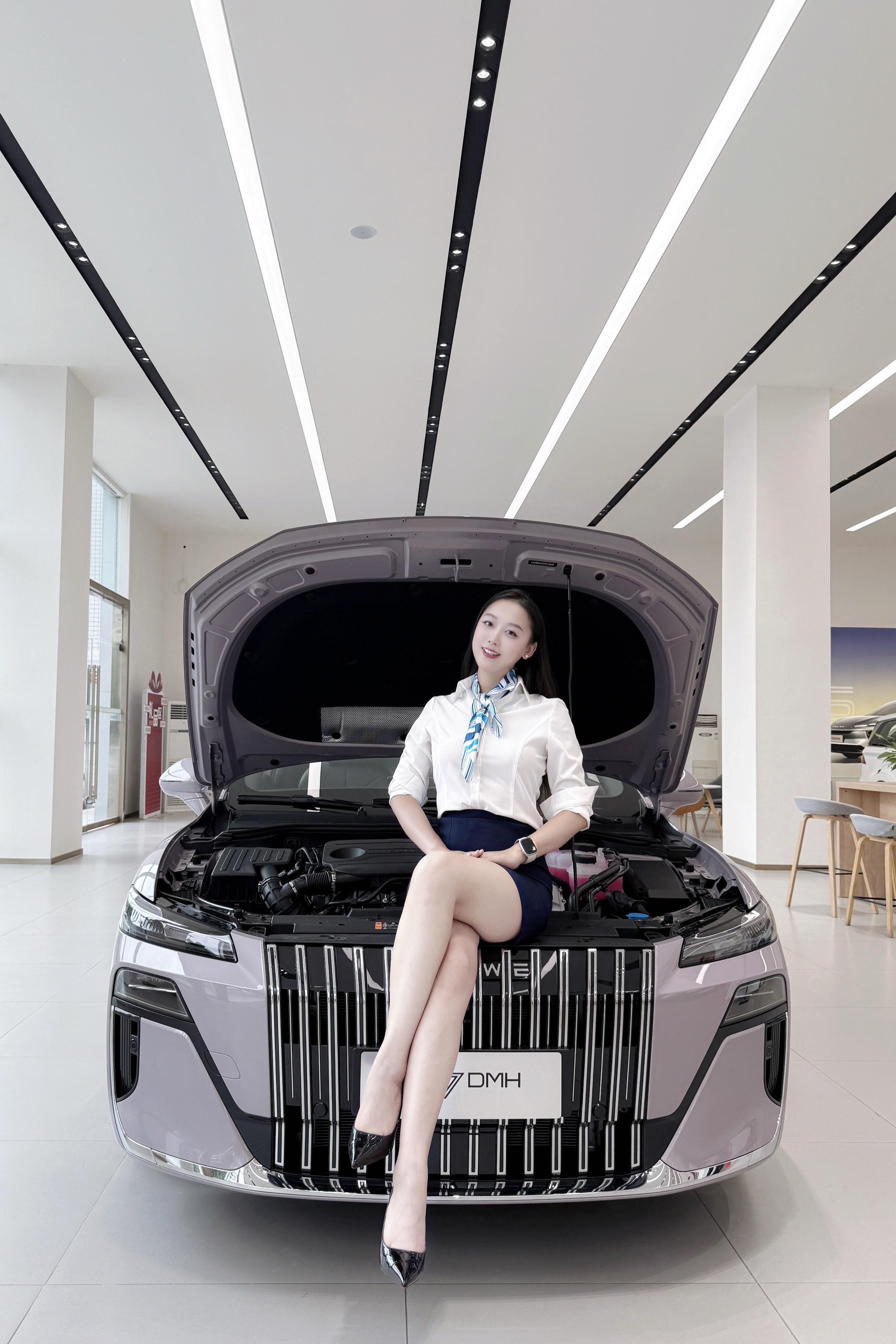 荣威M7 DMH205km 奢享版展示图2