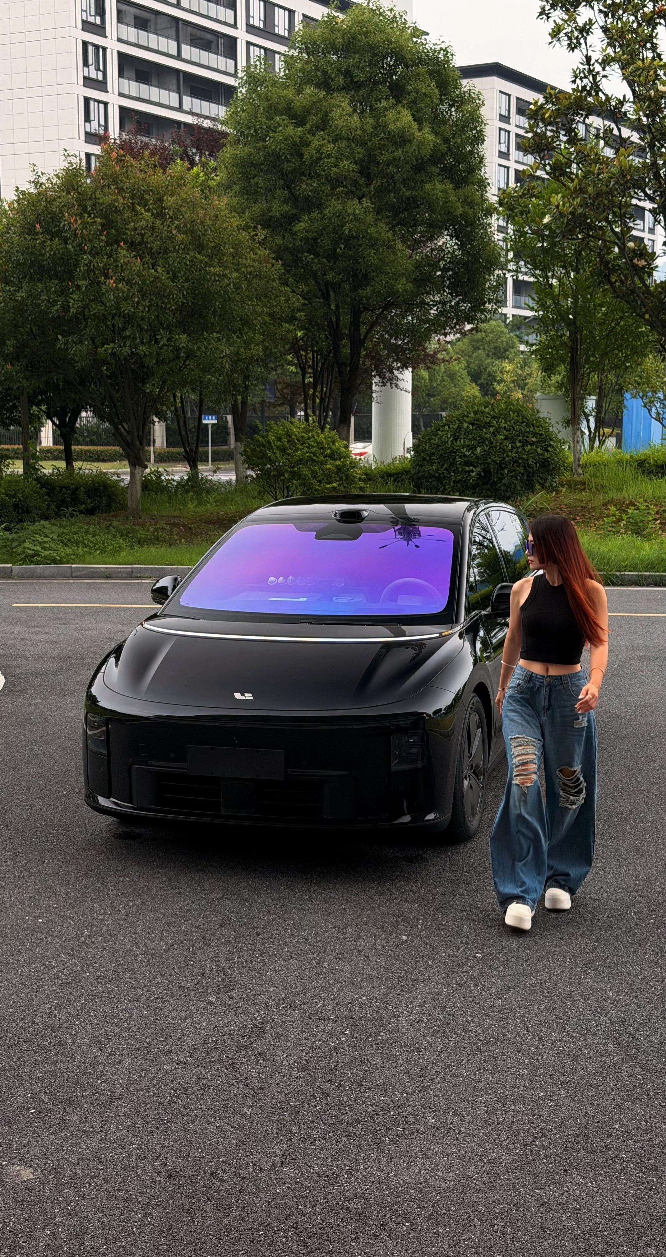 理想i6两驱 标准版展示图1