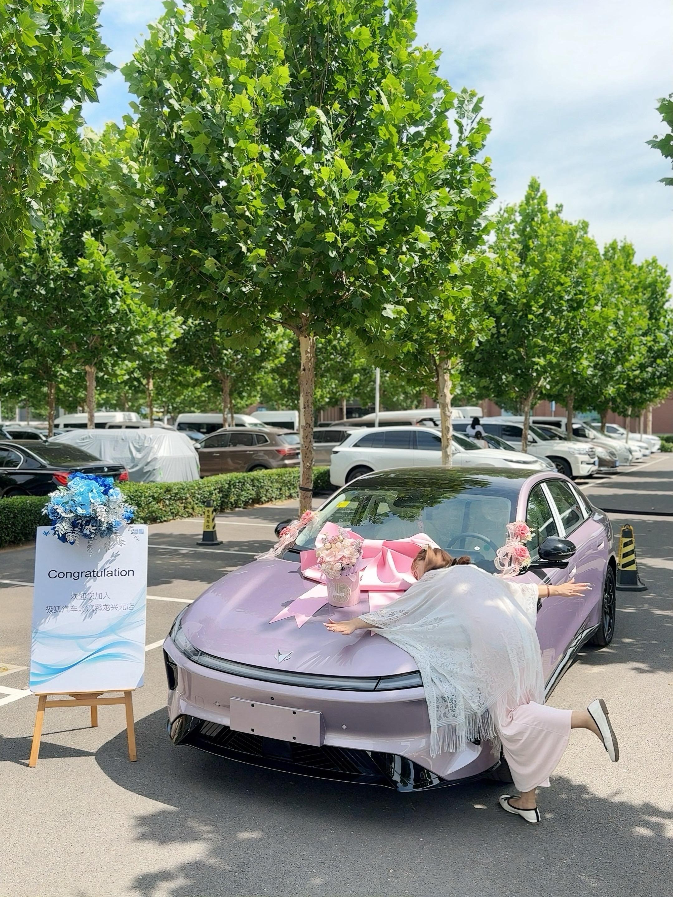 极狐 贝塔S3535 PLUS换电版展示图3