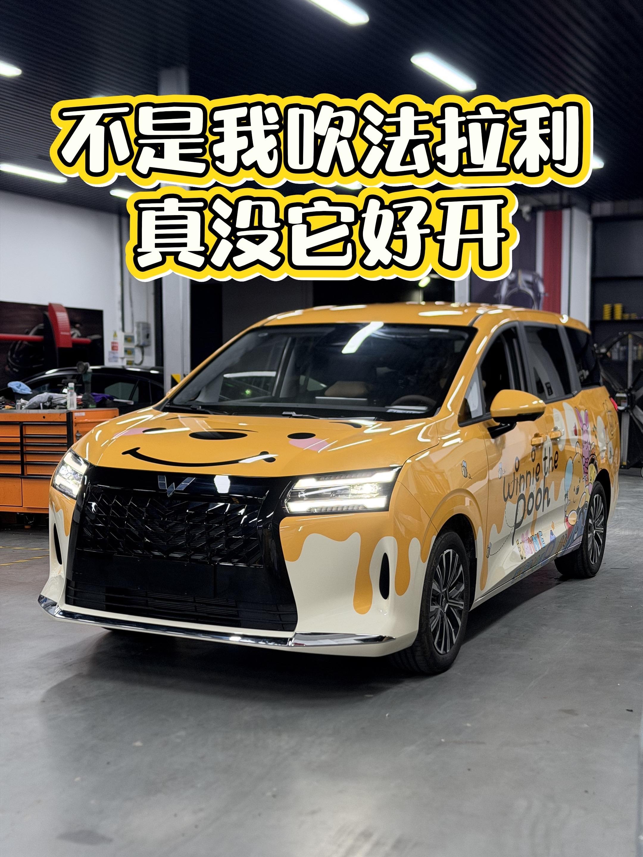 星光730 EV500km 尊享型展示图2