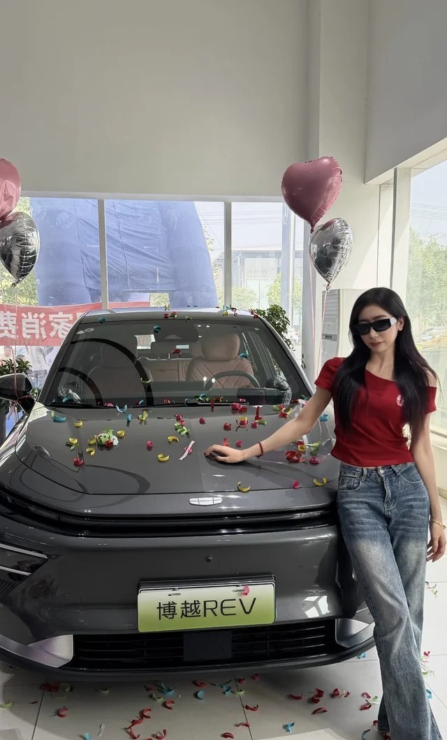 博越REV220km 长续航铂金增程智享版展示图2