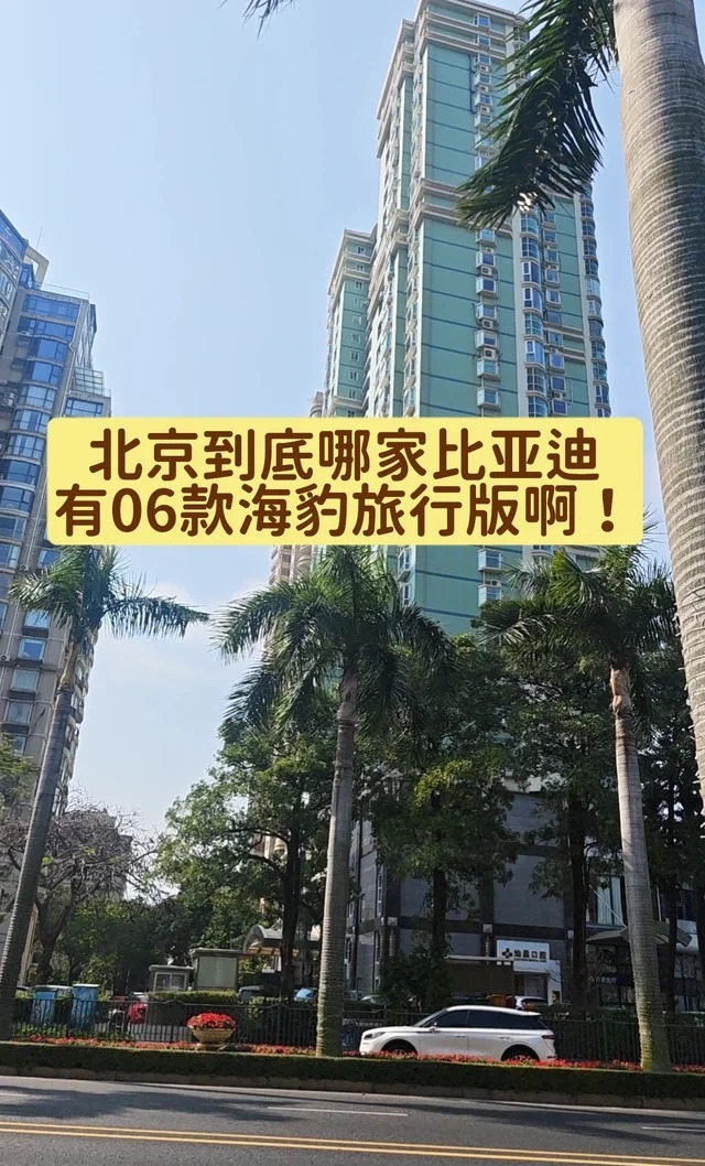 海豹06DM旅行版300旗舰型展示图3